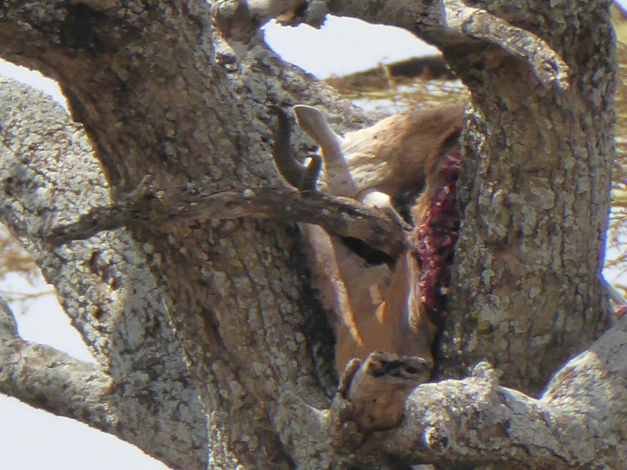 P1000874.jpg image