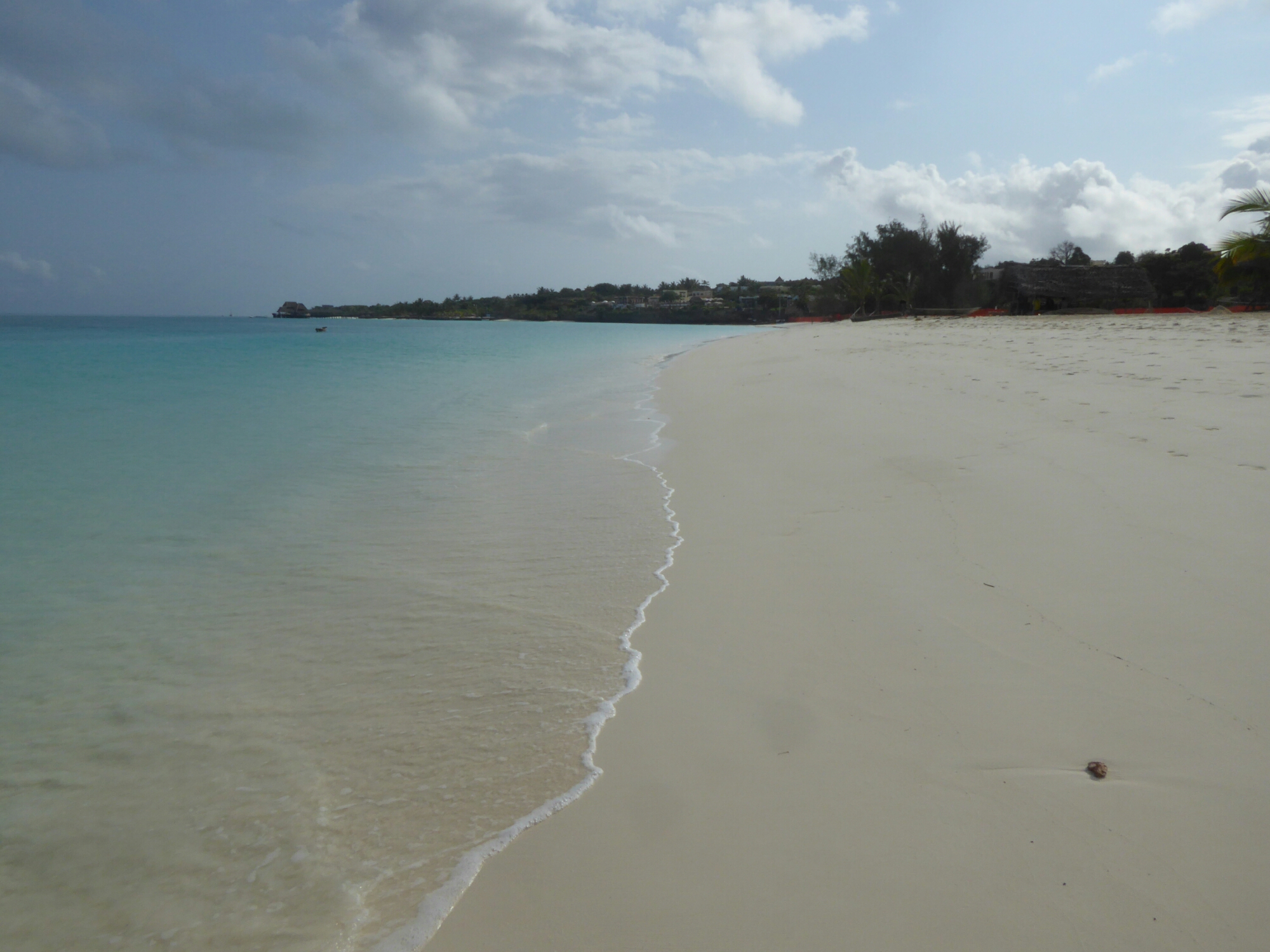P1220328.jpg image