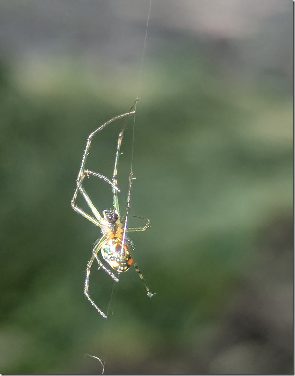 image11