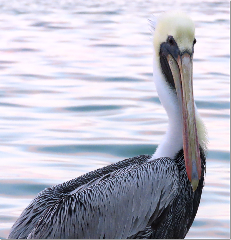 image[47]