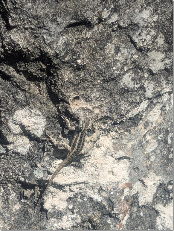 image8